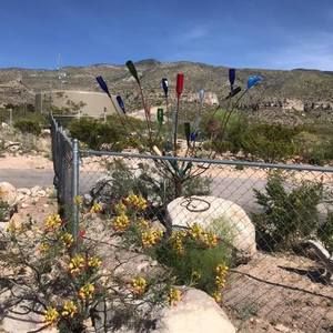 Meet your Posher, Woodrow